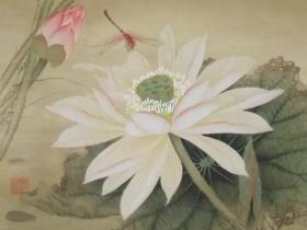 因为好色亏了200万