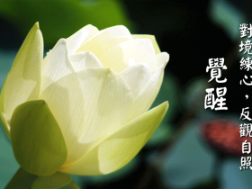 5大长寿素食,你吃了没?