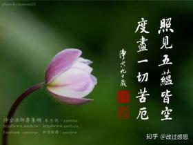 7种素食是秋季排毒高手