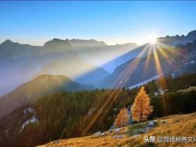 科学家惊人发现百病不侵的秘密,其实就是本师一直倡导的