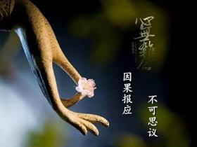 有十种行为,能让众生获得长命的福报