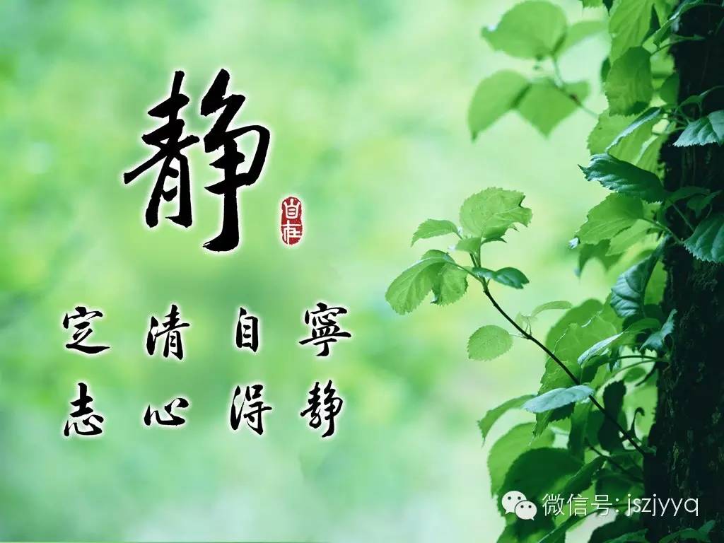 实在是深受其扰,遗患无穷