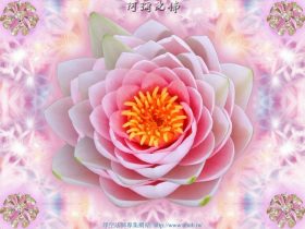 因破戒真实的触摸到死亡,愿以我的真实经历警醒众生