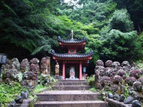 放生过了头，命运就会转变，脸上慢慢会长出这些纹