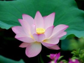 一万年太久，只争朝夕！这样做，你也可以惊世骇俗