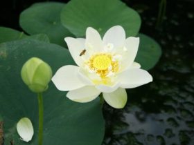 色晴巨斧，看一眼就让你粉身碎骨！