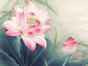 香港火灾中的奇迹：被困31楼的陈伯念“南无观世音菩萨”20小时奇迹生还！