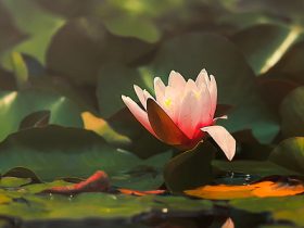 晚清名臣曾国藩是怎么戒色的？