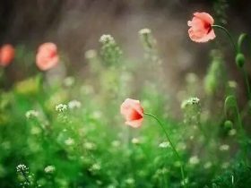 邪婬使我再次尝到了失业的滋味，一定要戒除