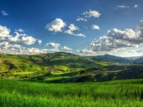 文笔好的人，请不要写杀盗妄婬的文字