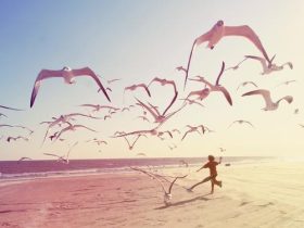 唤醒你心中的力量！