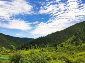 恶口老太与车祸安静的往生