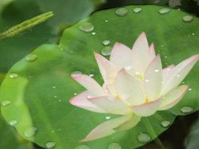 邪婬为什么严重的折福折禄又折寿？