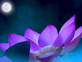 香港火灾中的奇迹：被困31楼的陈伯念“南无观世音菩萨”20小时奇迹生还！