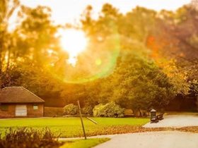 戒色一个月，妈妈夸我有精神了！