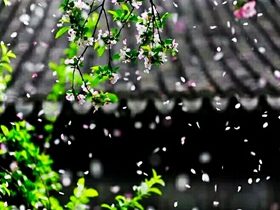 多年纵欲人生惨淡，一朝梦醒又见阳光