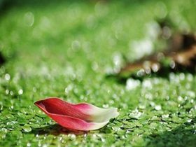 一个大四学生的过去和忏悔（上）