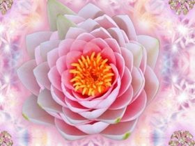 怎样在心理上彻底究竟地清除婬心