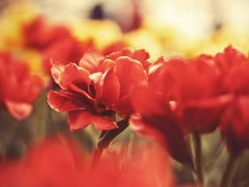 一位父亲写给孩子的封信 告诉孩子为何不能手婬