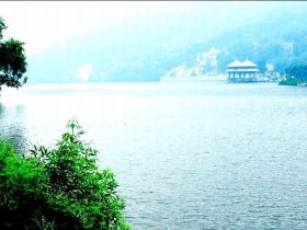 戒烟酒戒邪婬五年的真实感受——经典推荐