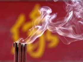 佛法是究竟的改命之道，易学算命术等并不究竟