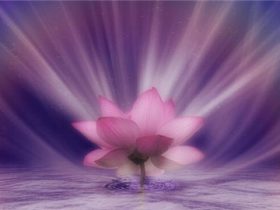 从头到脚说手婬危害，你中招了几个？