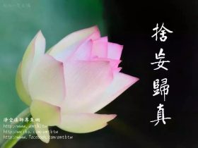 7.9级强烈大地震，观音寺内3万人竟然幸免