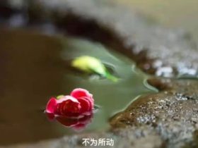 保持平常心，轉移注意力