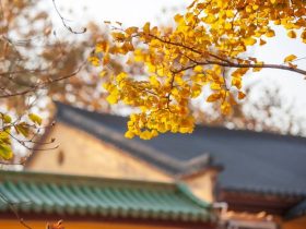 法师答一门深入，长时熏修