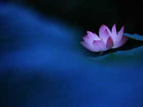 广化法师：堕胎杀生障往生