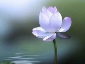 因破戒真实的触摸到死亡,愿以我的真实经历警醒众生