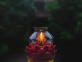 放生助我断婬，破戒回到原形