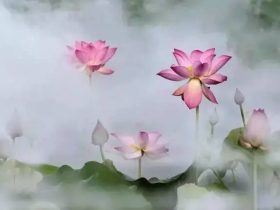 要聪明多食素，素食者智商高