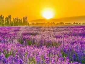 邪婬为什么严重的折福折禄又折寿？