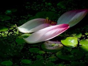 《从地狱到人间》--我成功戒婬的心路历程