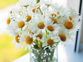 因破戒真实的触摸到死亡,愿以我的真实经历警醒众生