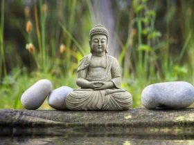 戒烟酒戒邪婬五年的真实感受——经典推荐