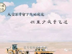 孝子为何被雷劈？