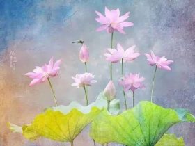 最易破戒的时间点总结