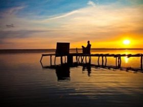 智渡法师：远离杀业尊重生命不要堕胎