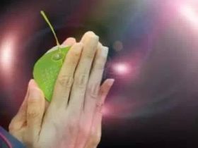 我其实早就该说出这些了