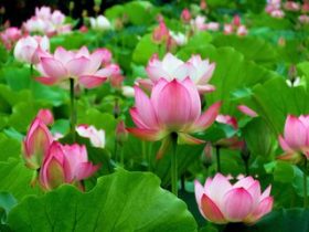 《从地狱到人间》--我成功戒婬的心路历程